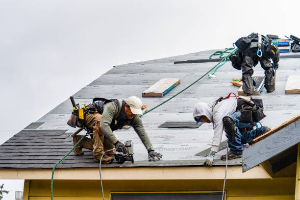 Professional Gutter Installation technician working in Goodhue, MN